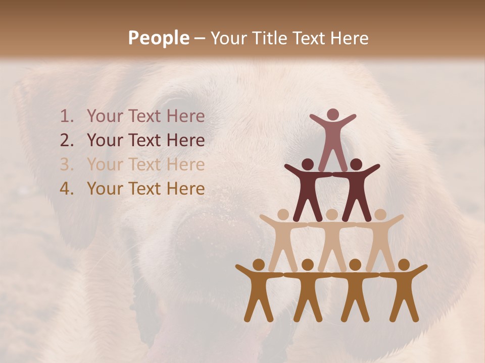 Cold Equipment Part PowerPoint Template