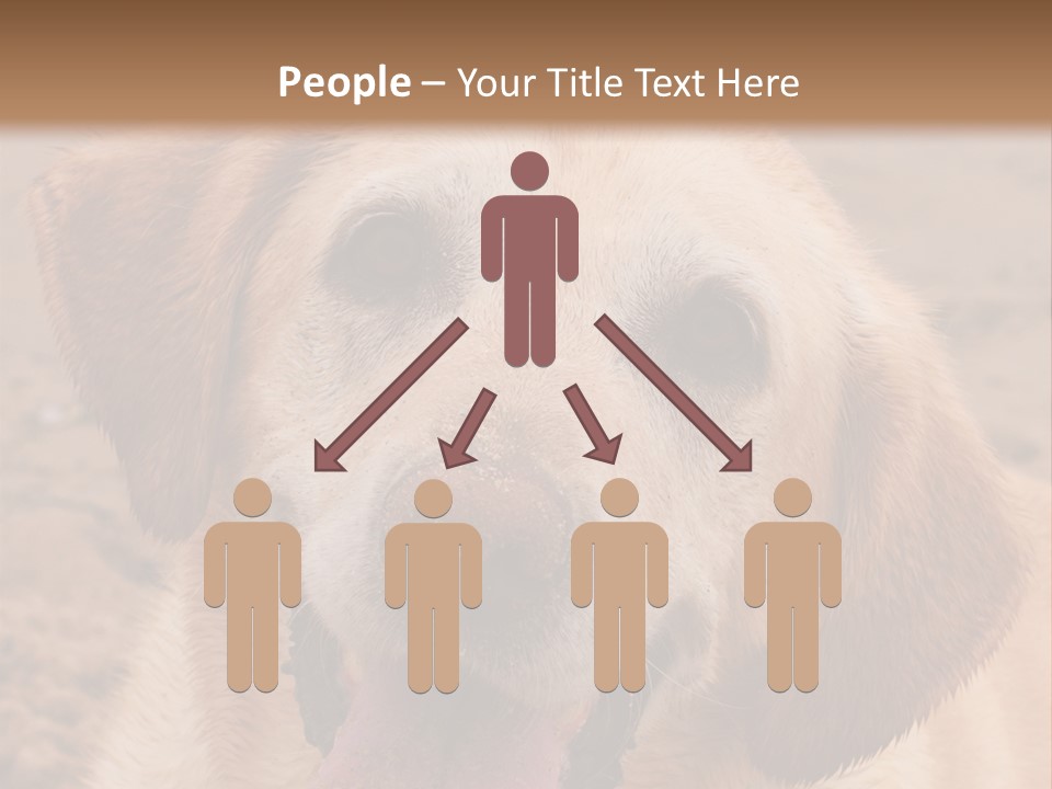 Cold Equipment Part PowerPoint Template