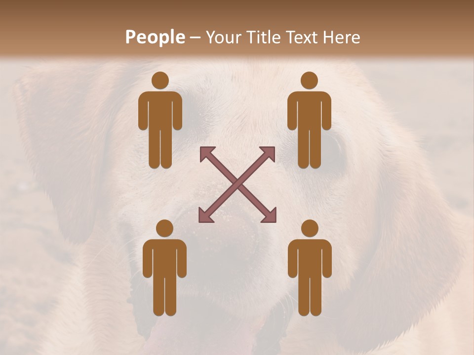 Cold Equipment Part PowerPoint Template