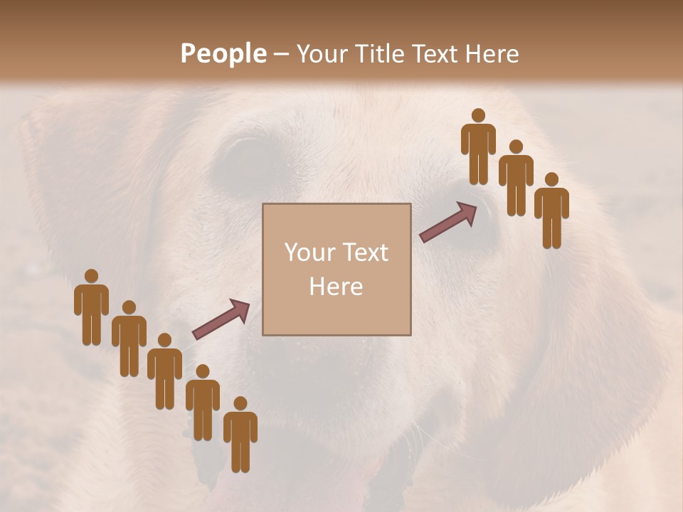 Cold Equipment Part PowerPoint Template