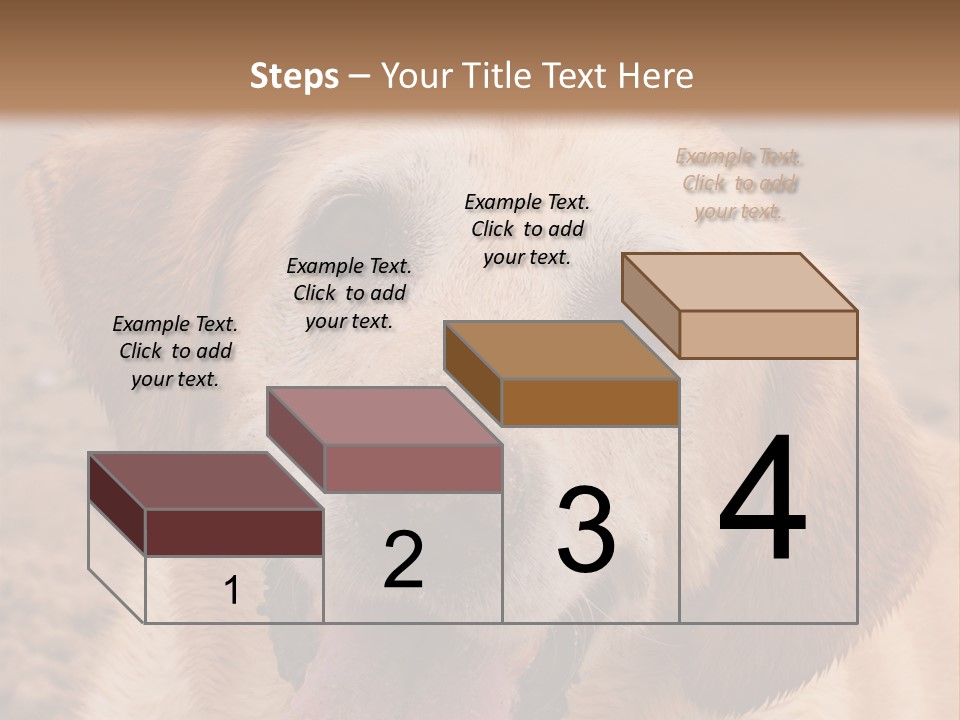 Cold Equipment Part PowerPoint Template