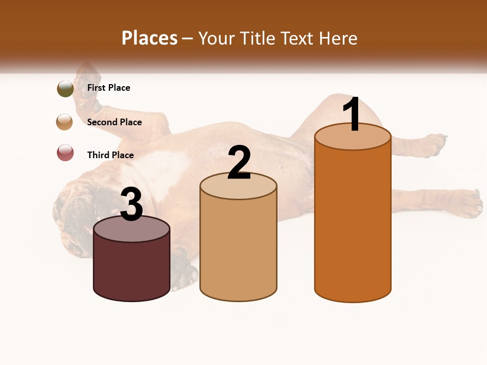 Air Cold Home PowerPoint Template