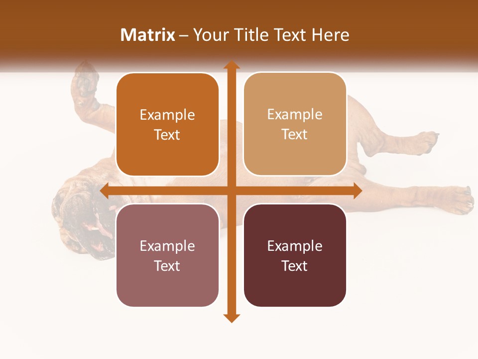 Air Cold Home PowerPoint Template