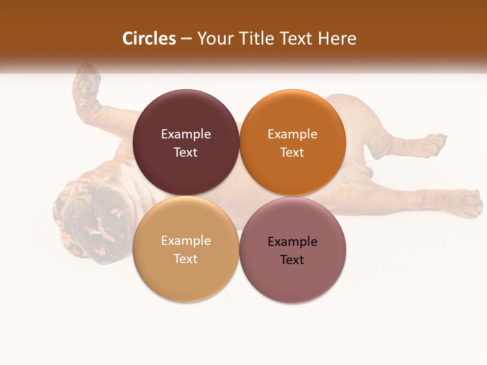 Air Cold Home PowerPoint Template