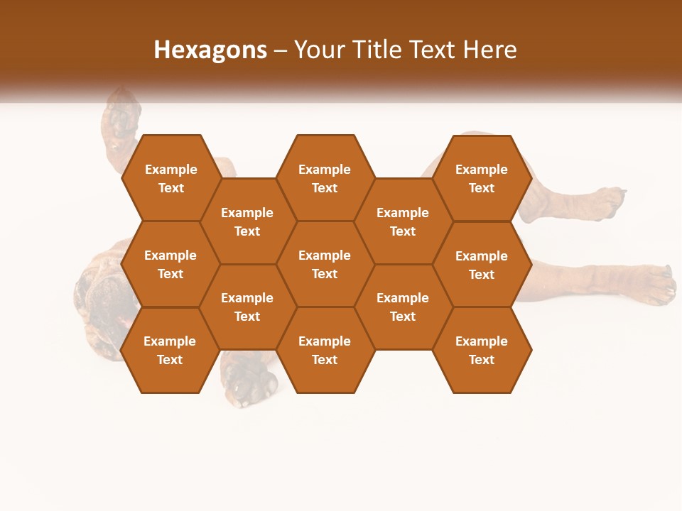 Air Cold Home PowerPoint Template