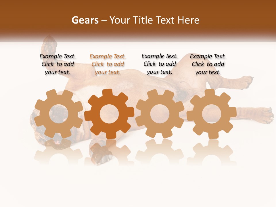 Air Cold Home PowerPoint Template