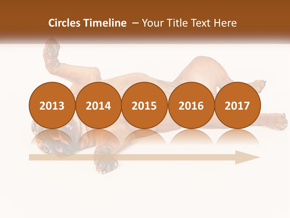 Air Cold Home PowerPoint Template