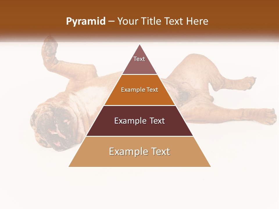 Air Cold Home PowerPoint Template