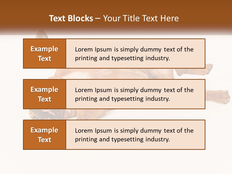 Air Cold Home PowerPoint Template