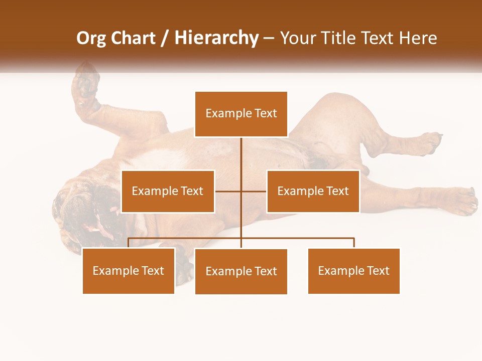 Air Cold Home PowerPoint Template