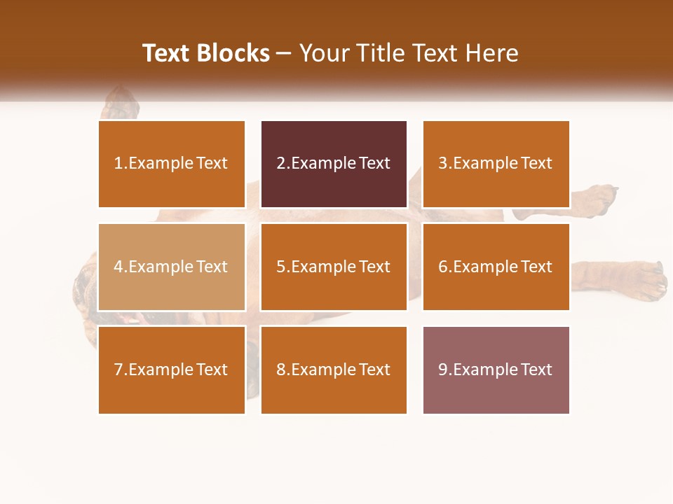 Air Cold Home PowerPoint Template