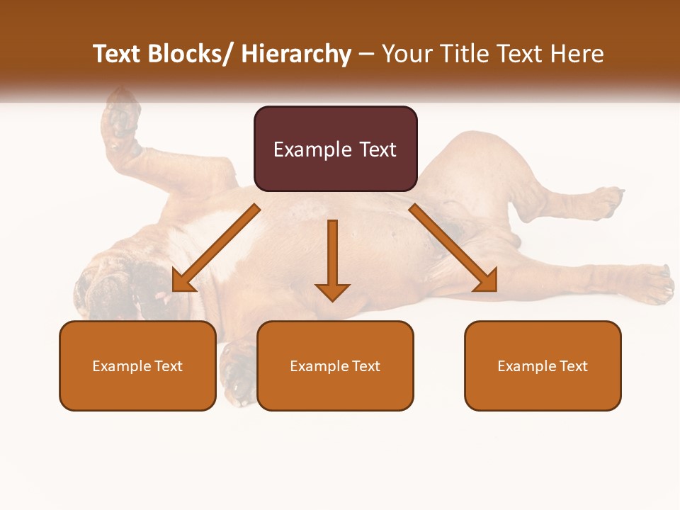Air Cold Home PowerPoint Template