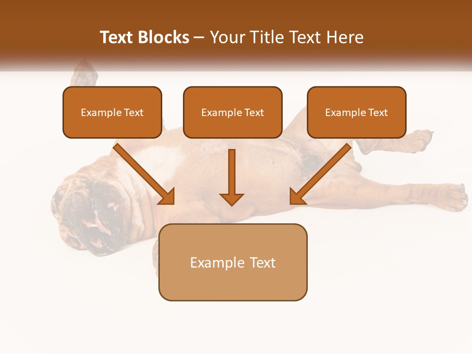 Air Cold Home PowerPoint Template