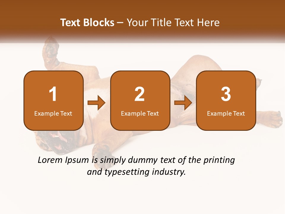 Air Cold Home PowerPoint Template