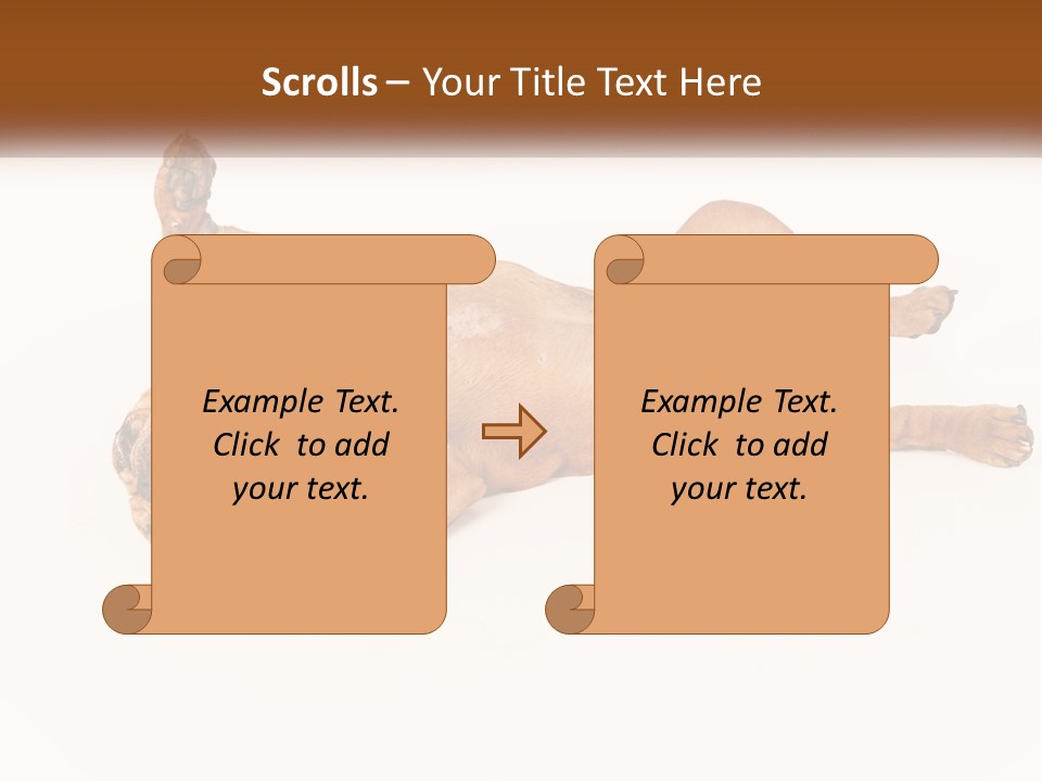 Air Cold Home PowerPoint Template