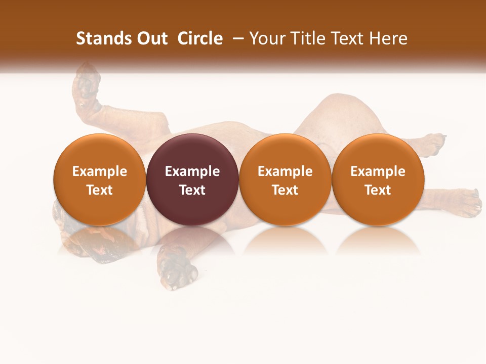 Air Cold Home PowerPoint Template