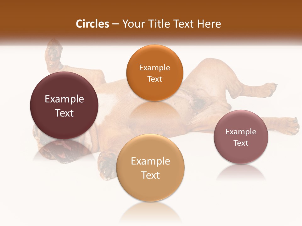 Air Cold Home PowerPoint Template