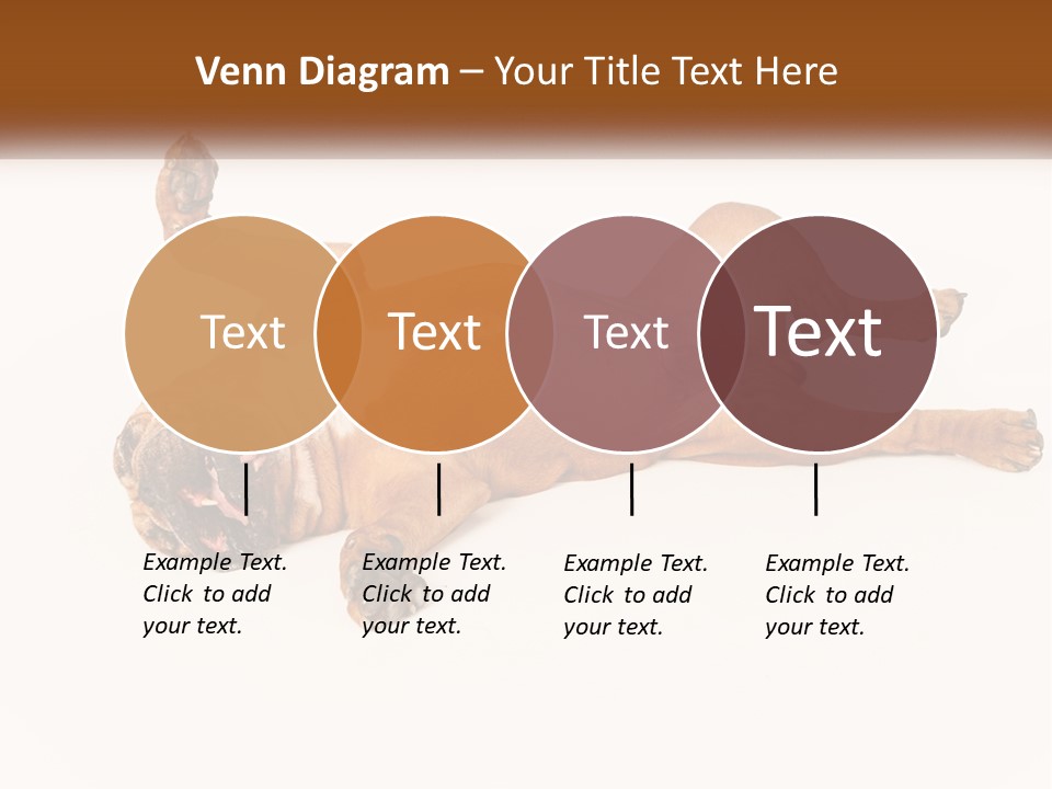 Air Cold Home PowerPoint Template