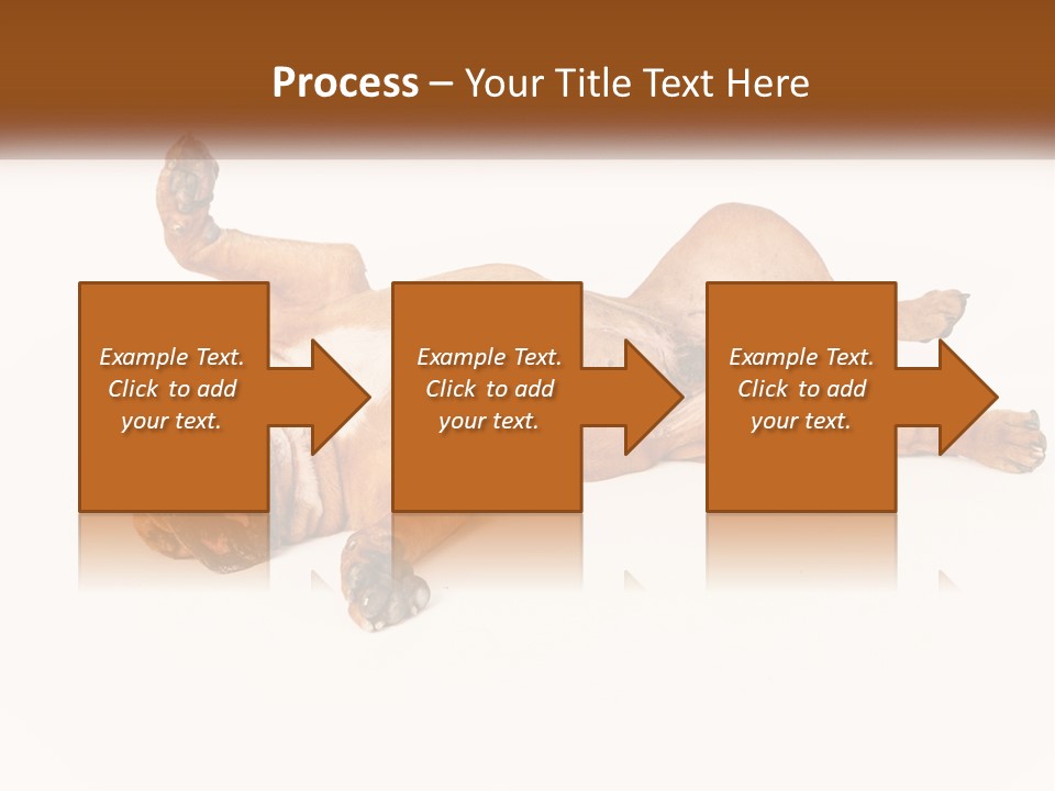 Air Cold Home PowerPoint Template