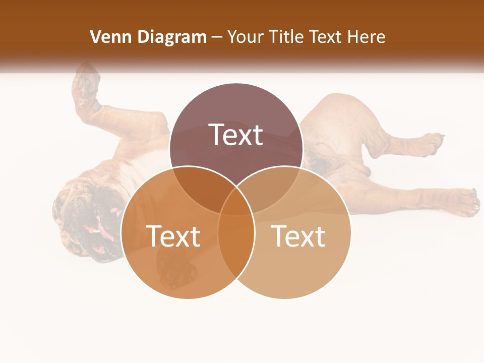 Air Cold Home PowerPoint Template