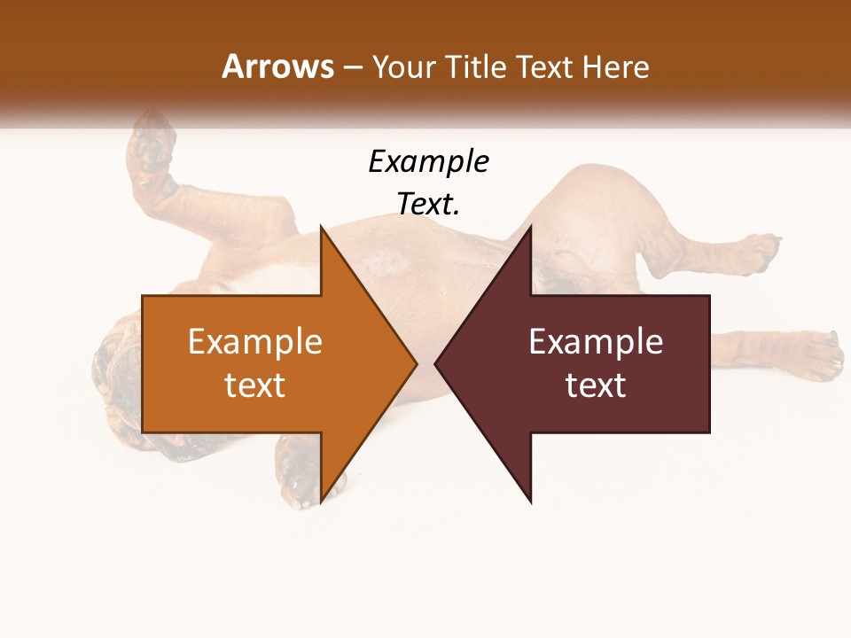 Air Cold Home PowerPoint Template