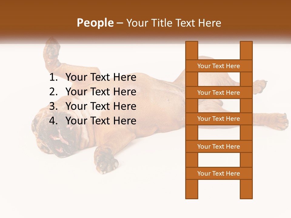 Air Cold Home PowerPoint Template