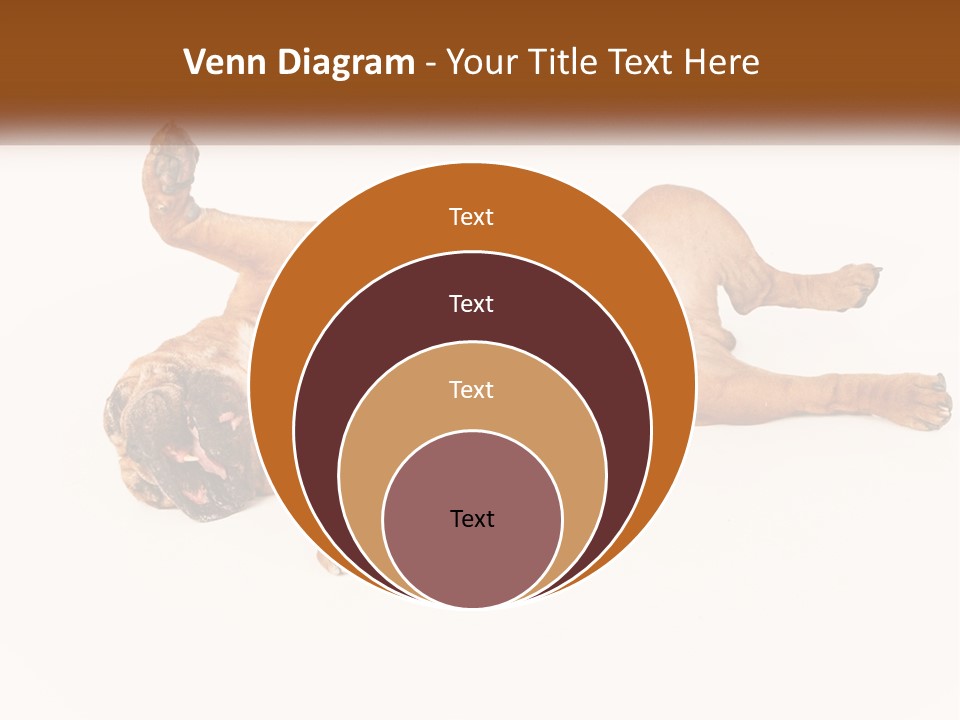 Air Cold Home PowerPoint Template