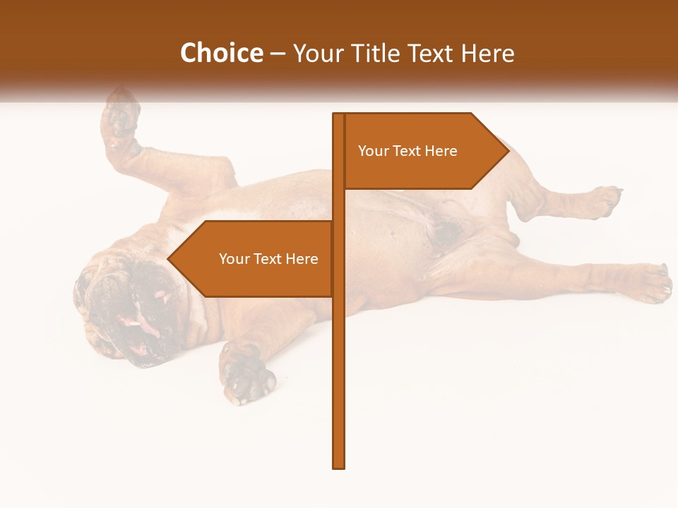 Air Cold Home PowerPoint Template