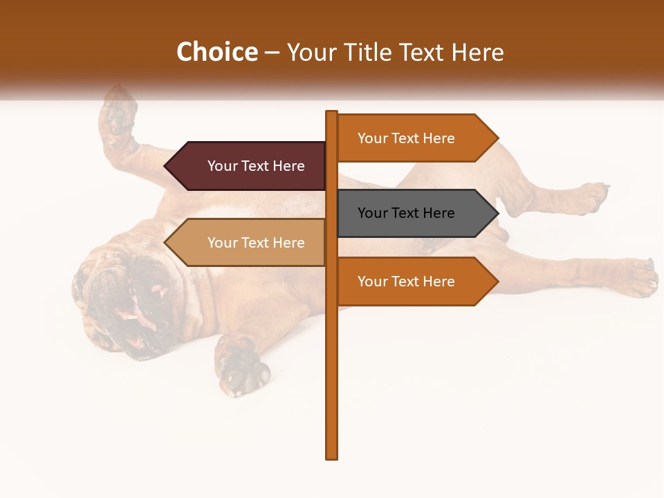 Air Cold Home PowerPoint Template