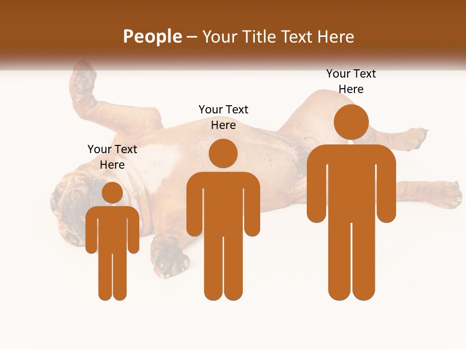 Air Cold Home PowerPoint Template