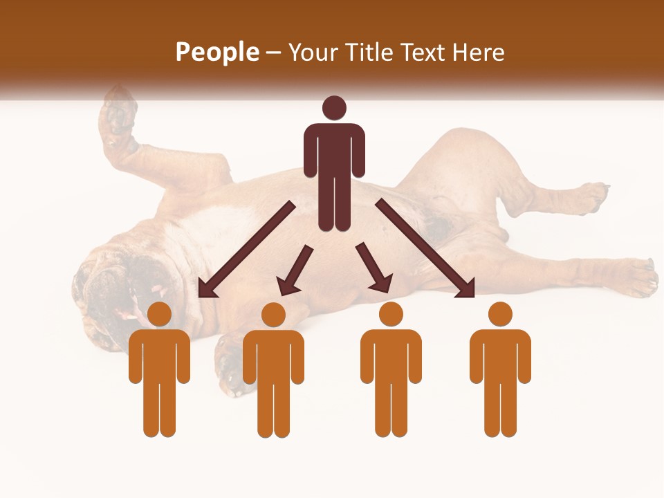 Air Cold Home PowerPoint Template