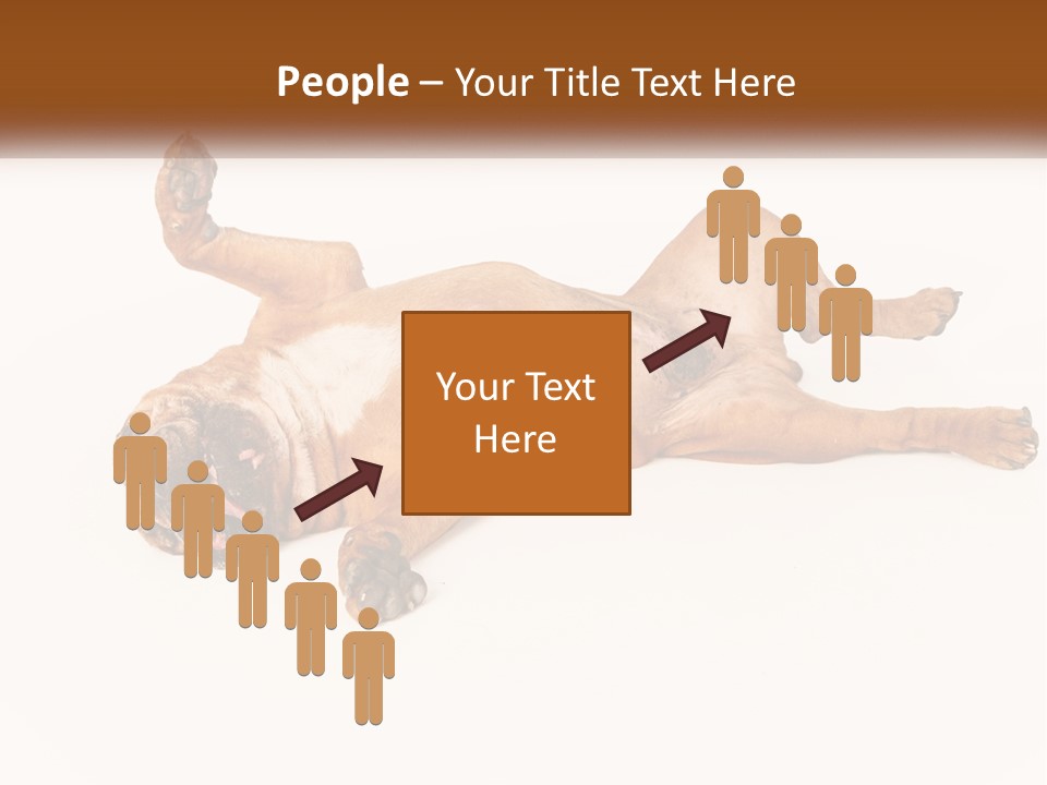 Air Cold Home PowerPoint Template