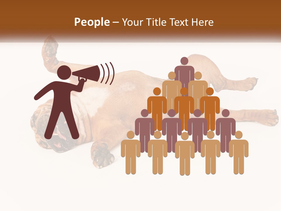 Air Cold Home PowerPoint Template