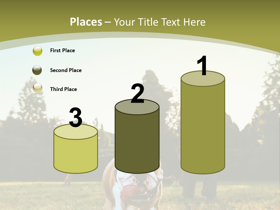 Energy System Conditioner PowerPoint Template