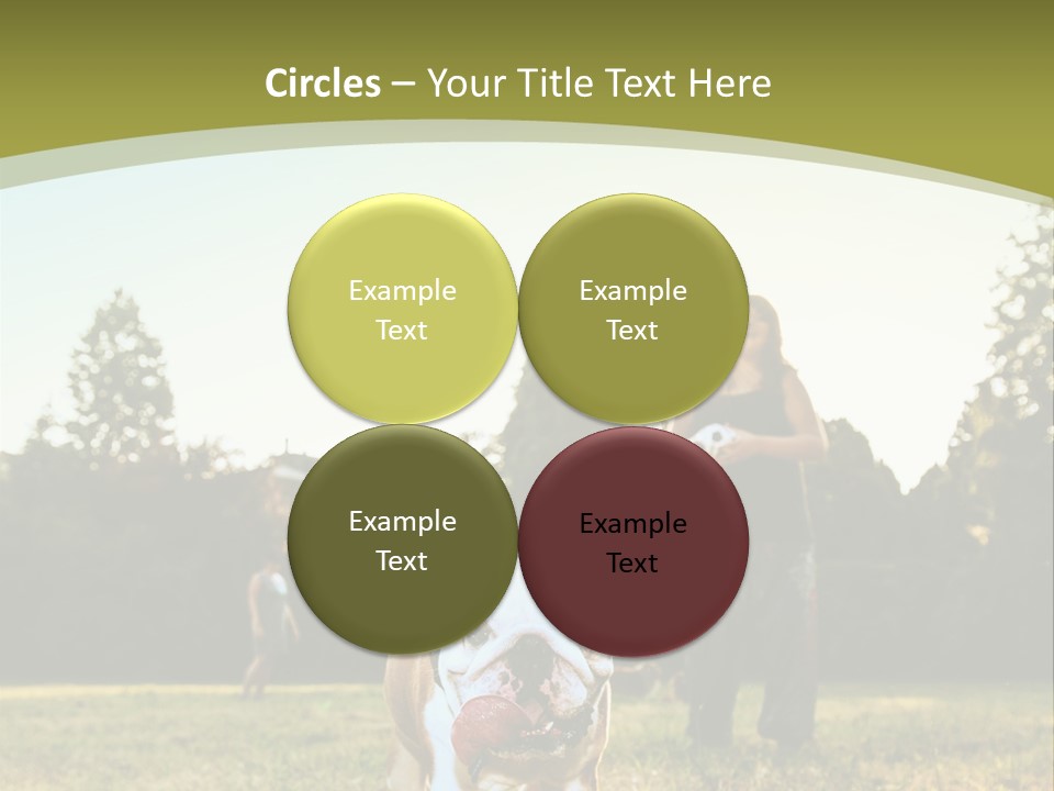 Energy System Conditioner PowerPoint Template