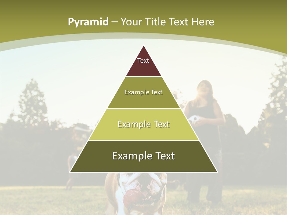 Energy System Conditioner PowerPoint Template