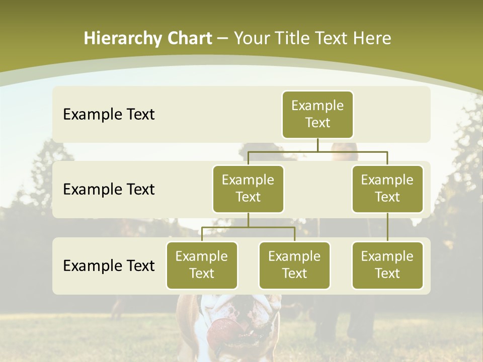 Energy System Conditioner PowerPoint Template
