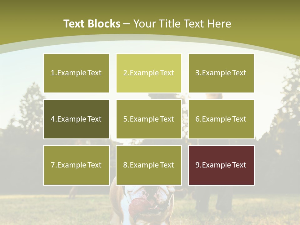 Energy System Conditioner PowerPoint Template