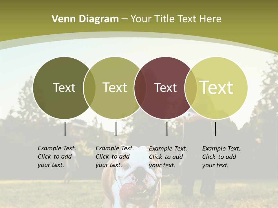 Energy System Conditioner PowerPoint Template