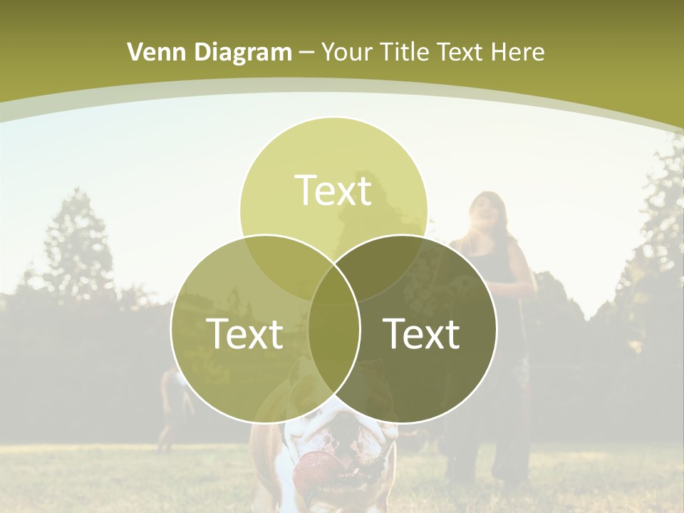 Energy System Conditioner PowerPoint Template