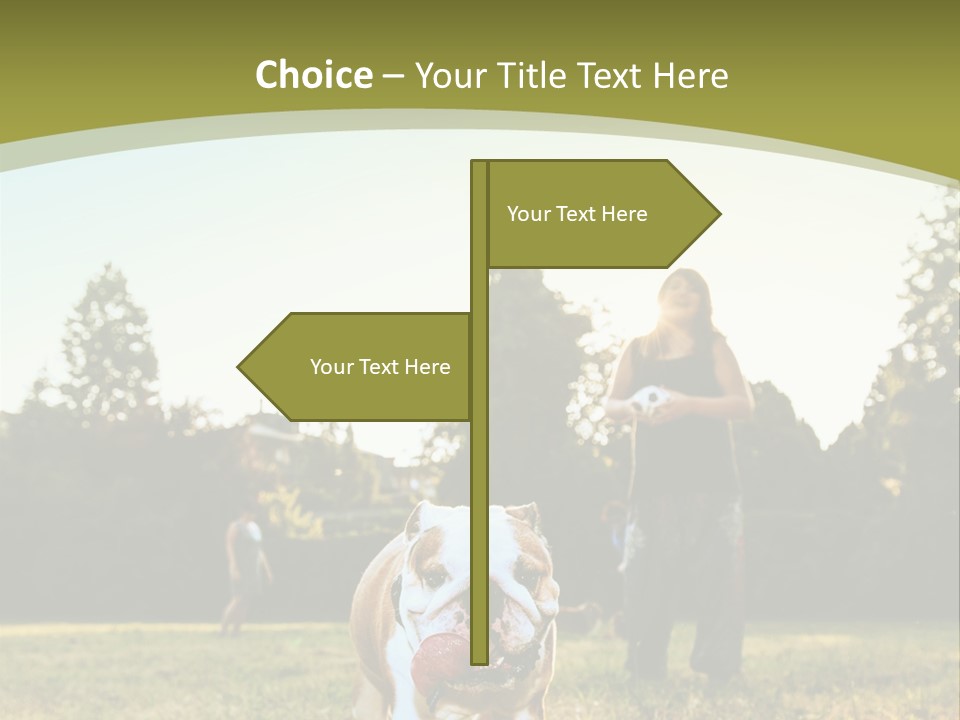 Energy System Conditioner PowerPoint Template