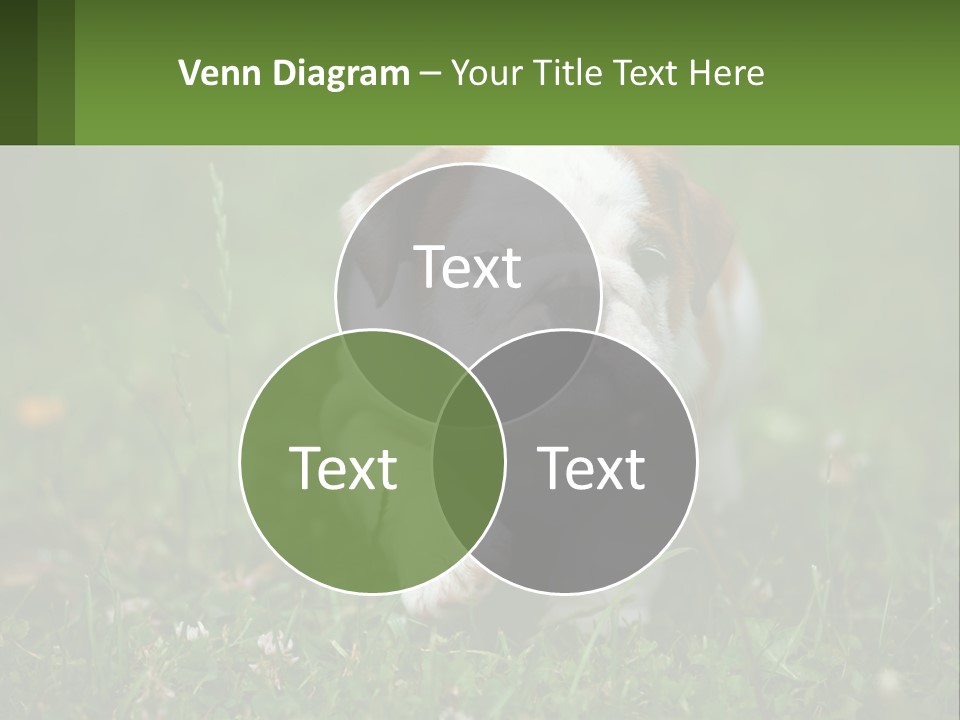 Industry White Remote PowerPoint Template