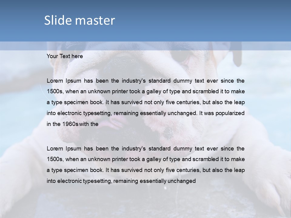 Electricity Home Climate PowerPoint Template