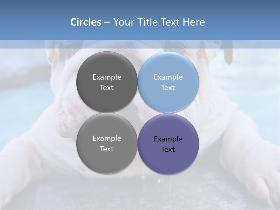 Electricity Home Climate PowerPoint Template