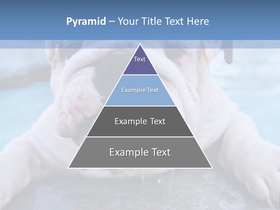 Electricity Home Climate PowerPoint Template