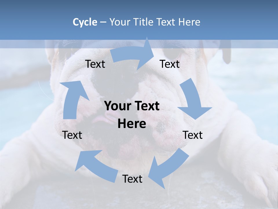 Electricity Home Climate PowerPoint Template