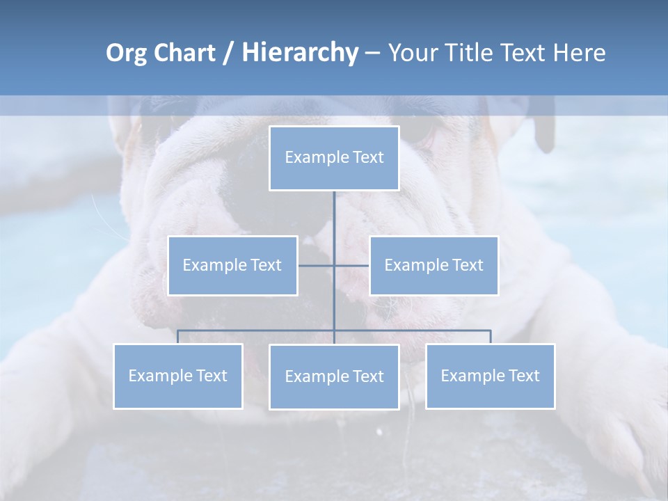 Electricity Home Climate PowerPoint Template