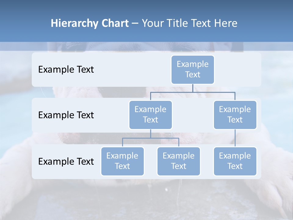 Electricity Home Climate PowerPoint Template