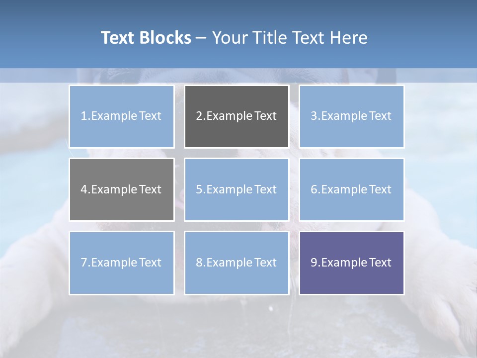 Electricity Home Climate PowerPoint Template