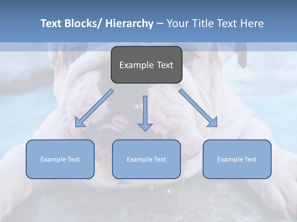 Electricity Home Climate PowerPoint Template